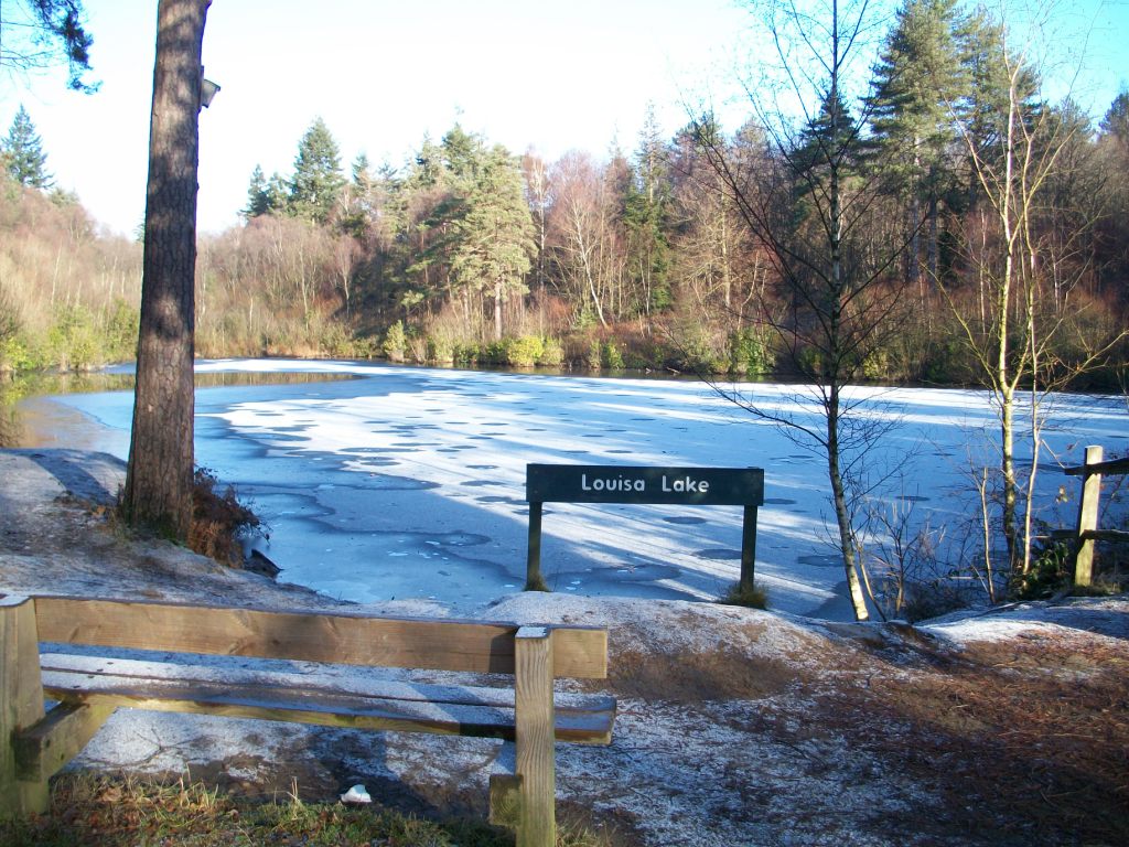 Bedgebury Cycling